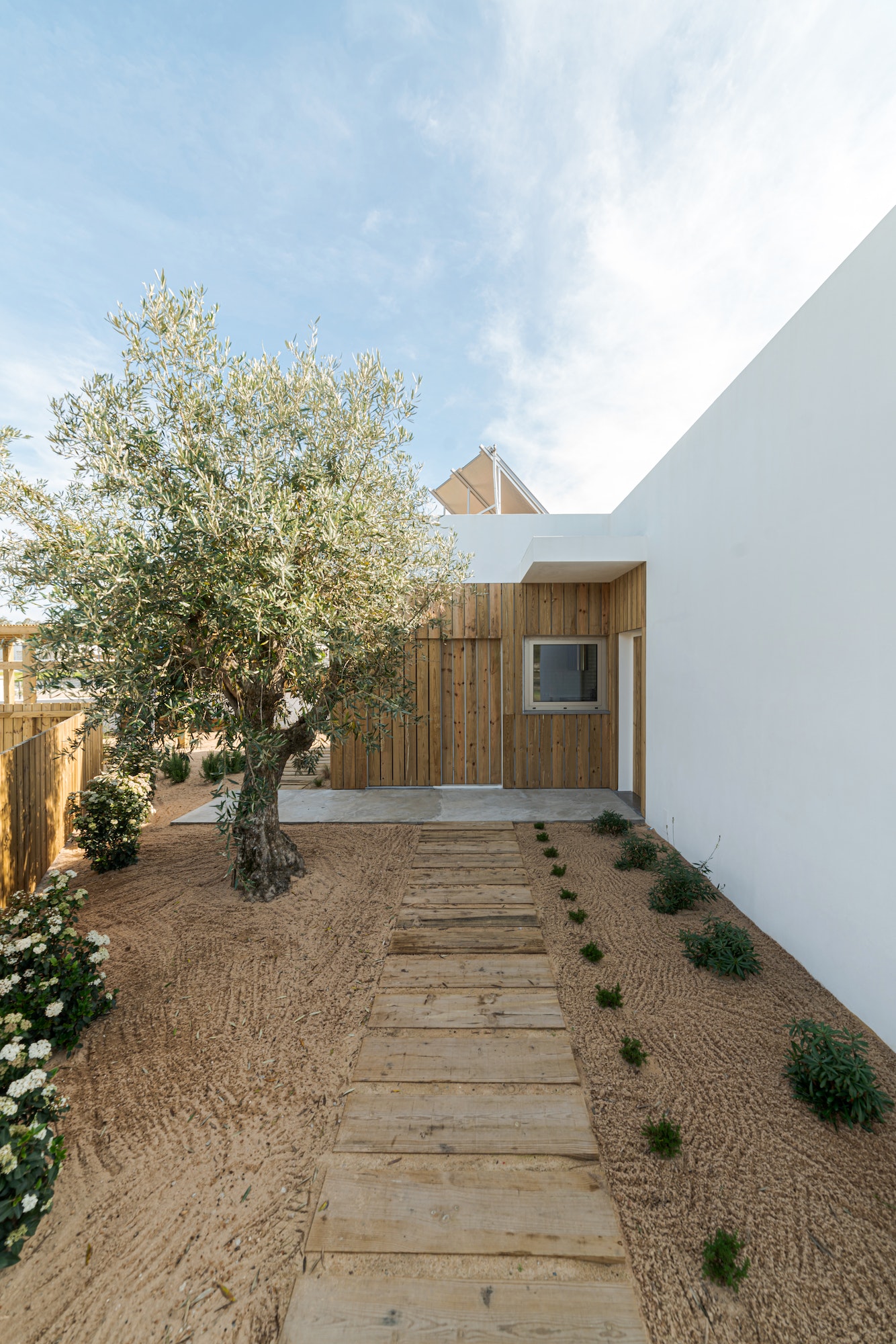 Garden in modern villa with pool and deck